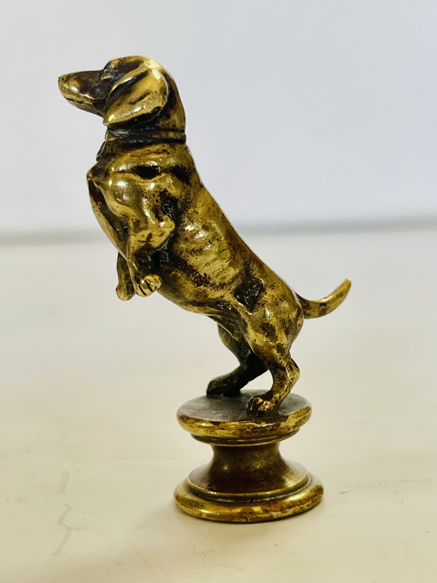Basset Seal -photo-4